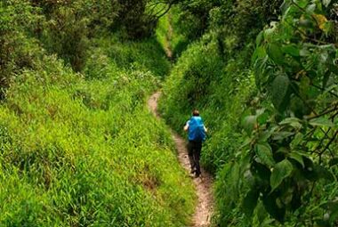 Salkantay Vía Llactapata 5 Días