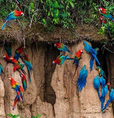 Tours Tambopata 2 Días