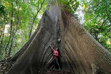 Tour Tambopata 4 Días