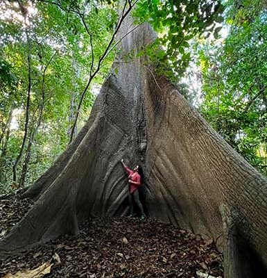 Tour Tambopata 4 Días